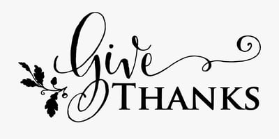Gratitude in 2020