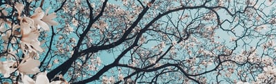 What We’re Doing…This Week